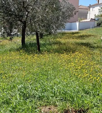 Bruno's House Апартаменты