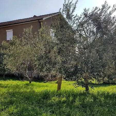 Апартаменты Bruno's House *