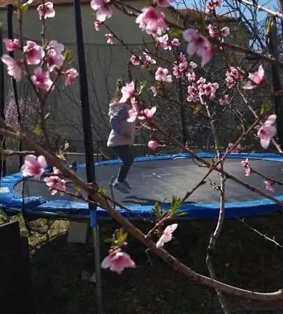 Bruno's House Daire *