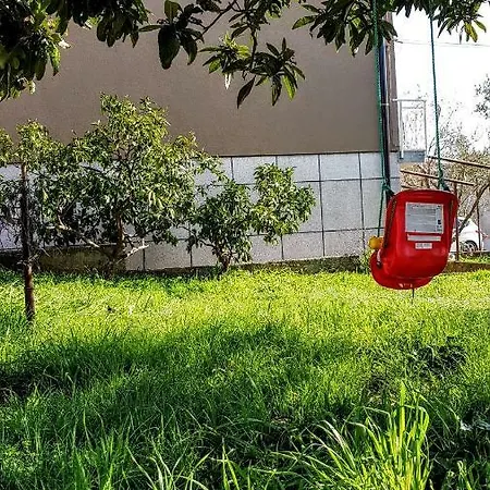 Bruno's House Lägenhet Pula