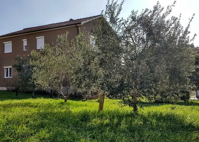 Διαμέρισμα Bruno's House *