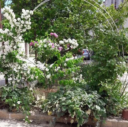 Bruno's House Διαμέρισμα Πούλα