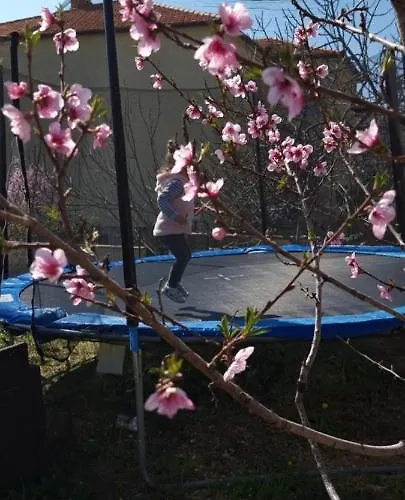 Bruno's House Apartman *